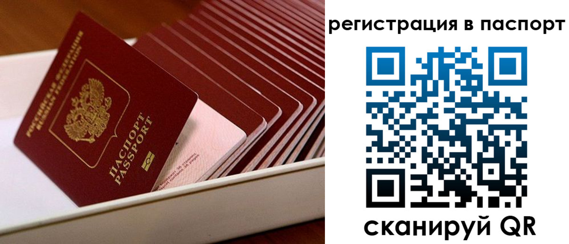 форма 3 в Краснознаменске